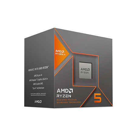 AMD Ryzen 5 8600G Wraith Stealth (4.3 GHz / 5.0 GHz)