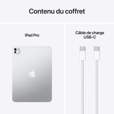 Apple iPad Pro M4 (2024) 11 pouces 512 Go Wi-Fi Noir Sidéral