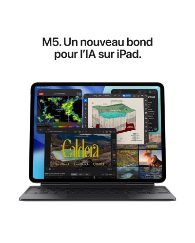 APPLE IPAD PRO M5 256 go