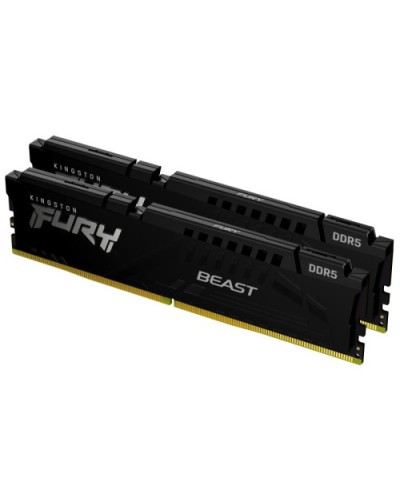 Kingston Technology FURY Beast 64 Go 6000 MT/s DDR5 CL36 DIMM (Kits de 2) Black EXPO