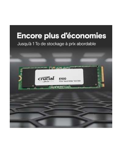 CRUCIAL E100 1T Gen4 2280 Tray