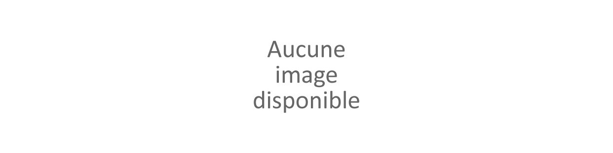 VENTILATEUR